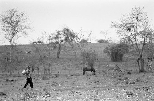 A man carrying a bucket over his shoulder walks across a field, San Basilio de Palenque, 1977