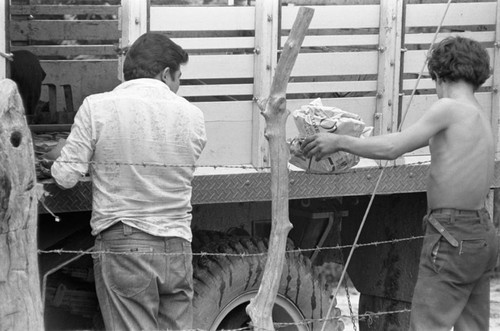 Loading the truck, La Chamba, Colombia, 1975