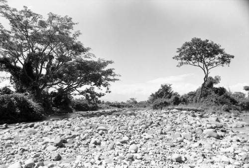 Landscape, Villanueva, La Guajira, Colombia, 1976