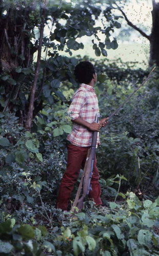 Sandinista resting in the brush, Leon, 1979