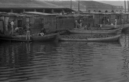 Men unload fruits from boats, Cartagena Province, 1975