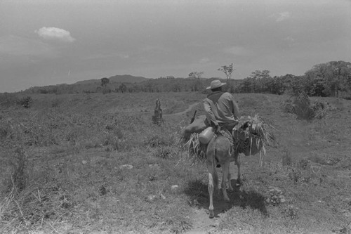 Man riding a donkey, San Basilio de Palenque, 1976