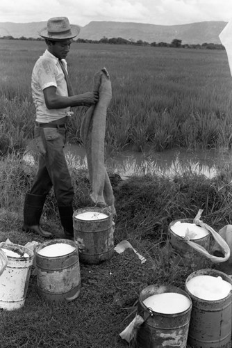 Men out on the field, La Chamba, Colombia, 1975