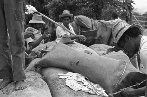 Men out on the field, La Chamba, Colombia, 1975