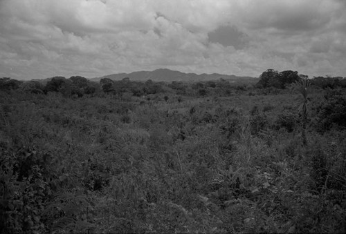 Landscape, San Basilio de Palenque, 1976