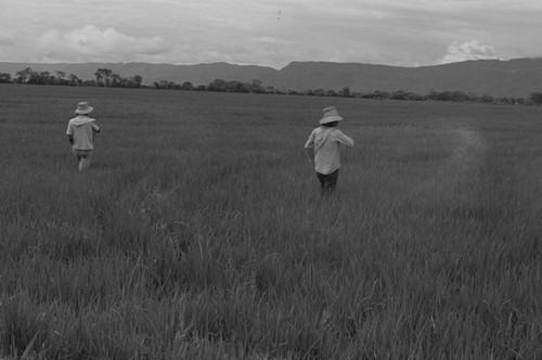 Men out on the field, La Chamba, Colombia, 1975