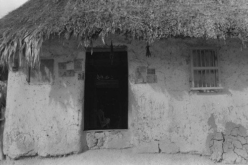 Newspaper clippings hanging from exterior wall, San Basilio de Palenque, 1976