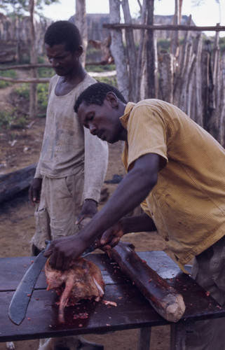 Man butchering a pig, San Basilio de Palenque, 1976