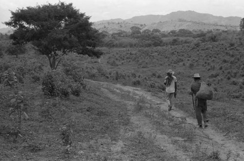 Two men carrying yucca roots, San Basilio de Palenque, 1975