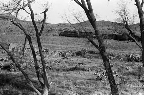 Views from train of semi-arid terrain, Zacatecas, 1983