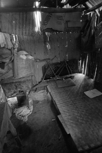 Rooster in a house, San Basilio de Palenque, Colombia, 1977