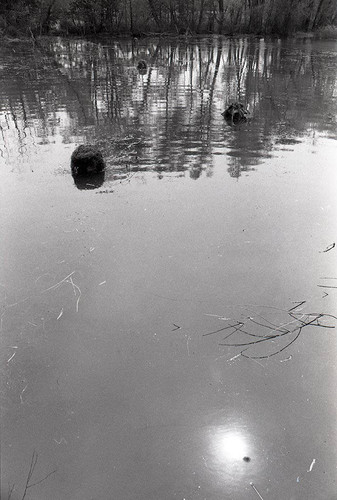 Survival school students practice silent swim techniques, Liberal, 1982