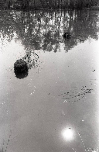 Survival school students practice silent swim techniques, Liberal, 1982