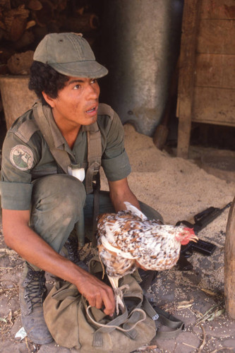 Soldier putting a chicken in a bag, San Antonio de los Ranchos, Chalatenango, El Salvador, 1981