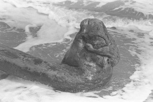 A weathered rock on the coast, Isla de Salamanca, Colombia, 1977