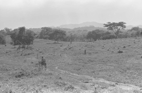 Man riding a mule, San Basilio de Palenque, 1976