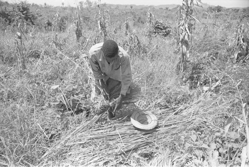 Man working in a field, San Basilio de Palenque, 1976