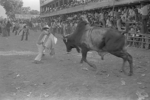 Bullfighter waving cloak at bull , San Basilio de Palenque, ca. 1978