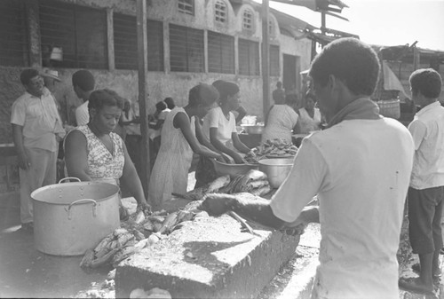 Men and women cleaning fish at city market, Cartagena Province, ca. 1978