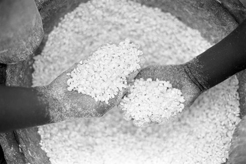 Hands processing corn, San Basilio de Palenque, 1977