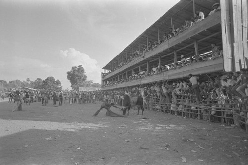 Audience watching bullfight, San Basilio de Palenque, ca. 1978