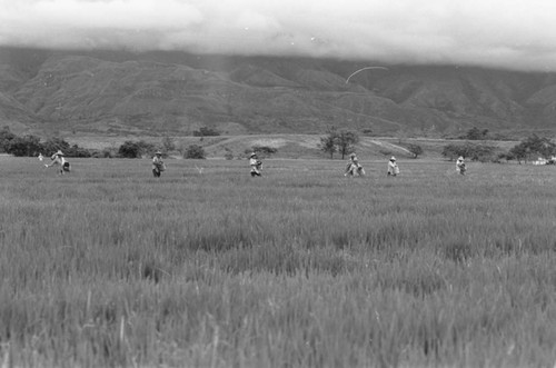 Sowing the field, La Chamba, Colombia, 1975