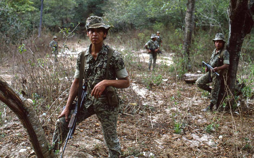 Five armed soldiers earch for guerillas in a wooded area, Chichicastenango, 1982