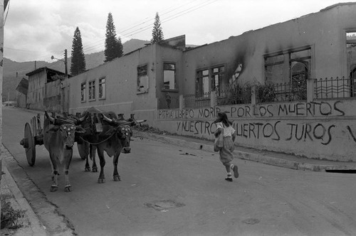 Two cows and a girl amid ruins, Berlín, 1983