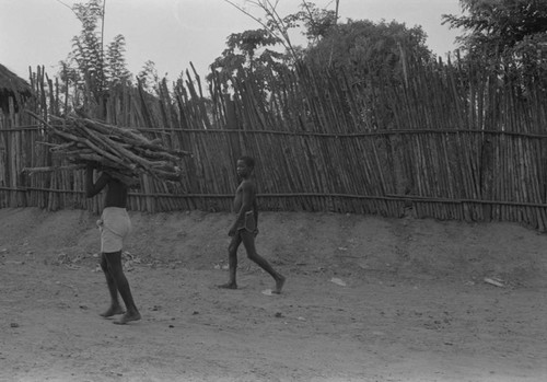 Boy carrying a load of wood, San Basilio de Palenque, ca. 1978