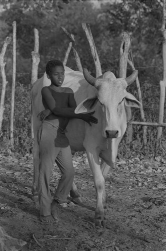 Boy standing next to a cow, San Basilio de Palenque, ca. 1978