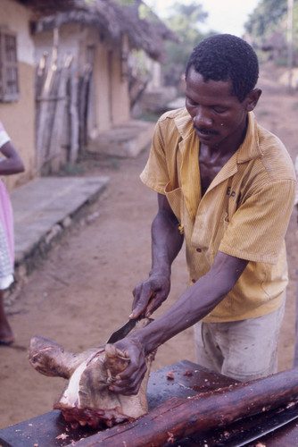 Man butchering a pig, San Basilio de Palenque, 1976