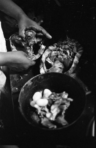 Woman cooking a turtle, San Basilio de Palenque, 1977