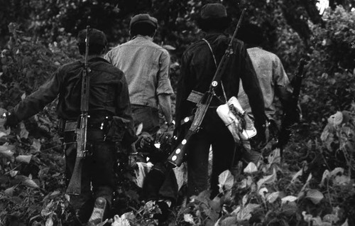 Sandinistas carry a dead man, Nicaragua, 1979