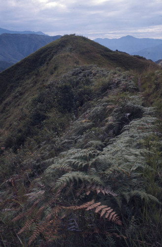 An aerial view, Tierradentro, Colombia, 1975