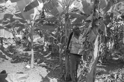 Fermín Herrera working with machete, San Basilio de Palenque, 1976