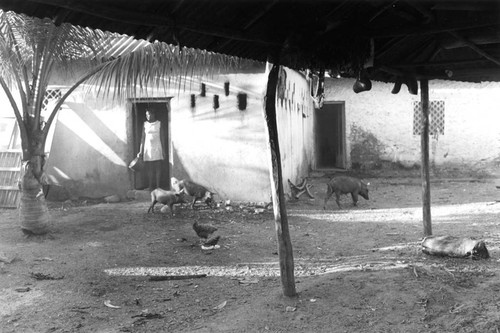 Woman selling fruit at the beach, Cartagena, ca. 1978