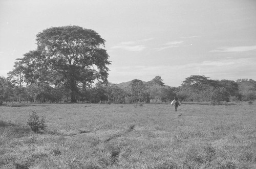 Man on a mule, San Basilio de Palenque, 1976