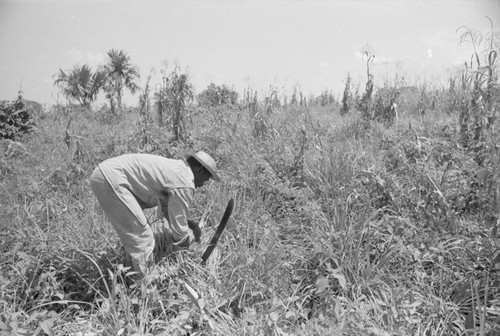 Man working in a field, San Basilio de Palenque, 1976