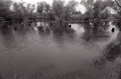 Survival school students practice silent swim techniques, Liberal, 1982