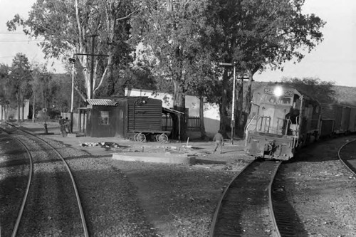 Incoming train, Mexico, 1983