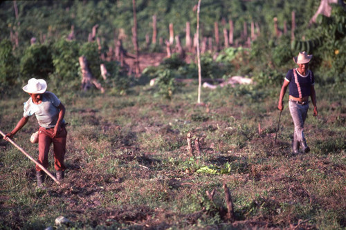 Guatemalan refugees at work, Ixcán, 1983-01