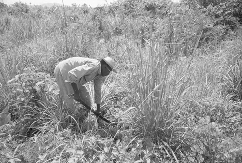 Man working in a field, San Basilio de Palenque, 1976