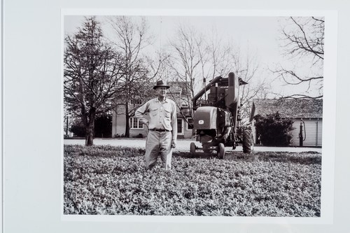 Colby E. "Babe" Slater on his Clarksburg, California farm