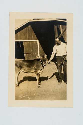 Man posing with steer?