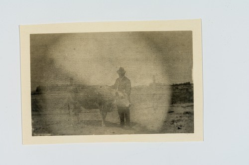 Man posing with steer?