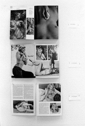 Fred Lonidier MFA exhibition