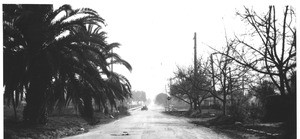 Grade crossing Craig Avenue over Santa Fe Main Line, Pasadena, from north side of track looking south along center line of Craig Avenue and over grade crossing, Los Angeles County, 1927