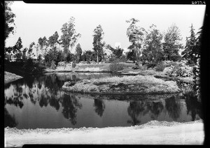 La Brea Tar Pits, 1932