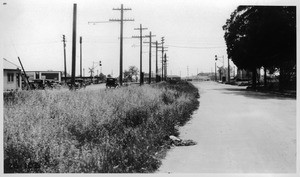 Huntington Drive from point in west roadway of Huntington Drive north of S.F. crossing looking south, Los Angeles County, 1928