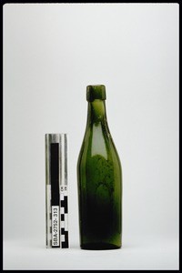 Bottle